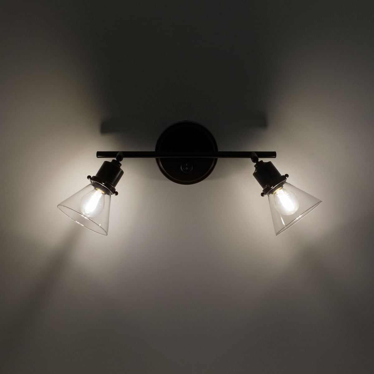 Спот Citilux Бисмарк CL564521