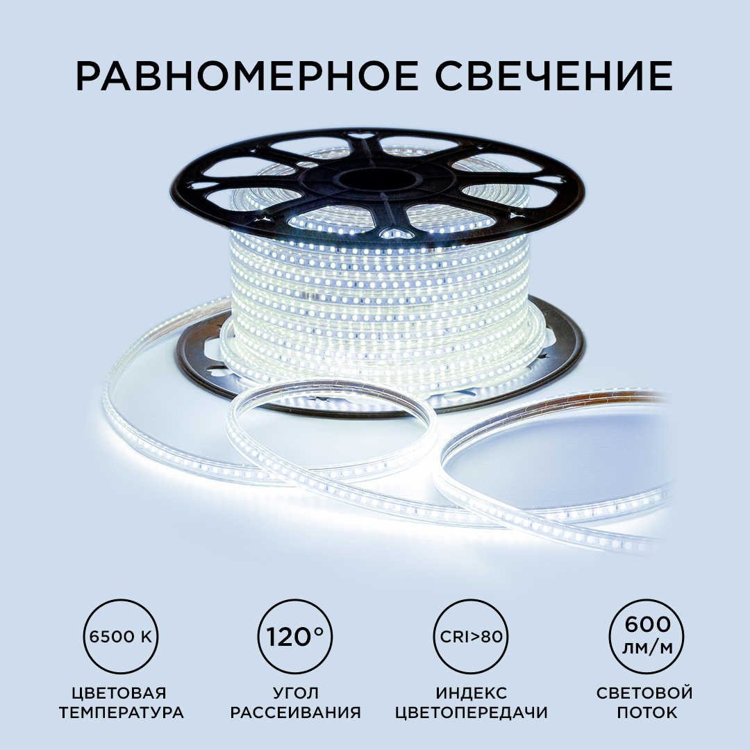 Светодиодная лента OGM Эконом 220В 2835 7Вт/м 6500К 50м IP65 O17-09