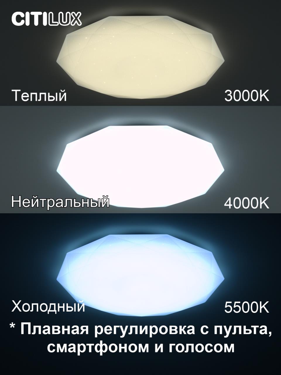 Потолочный светильник Citilux Астрон CL733900G