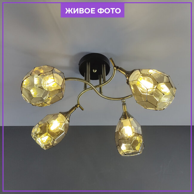 Потолочная люстра Wedo Light Elivera 66740.01.37.04