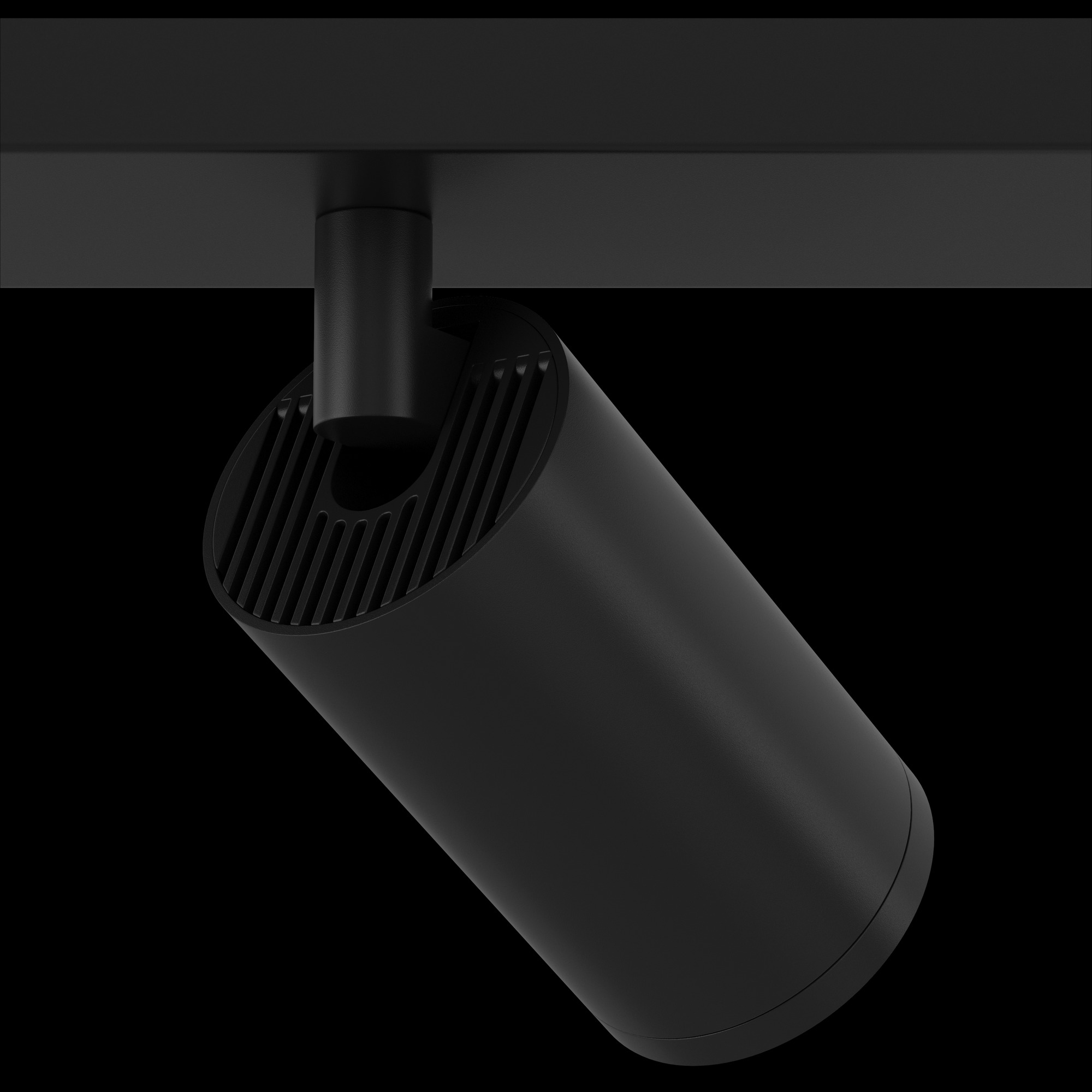 Потолочный светильник Maytoni FOCUS S C051CL-02B