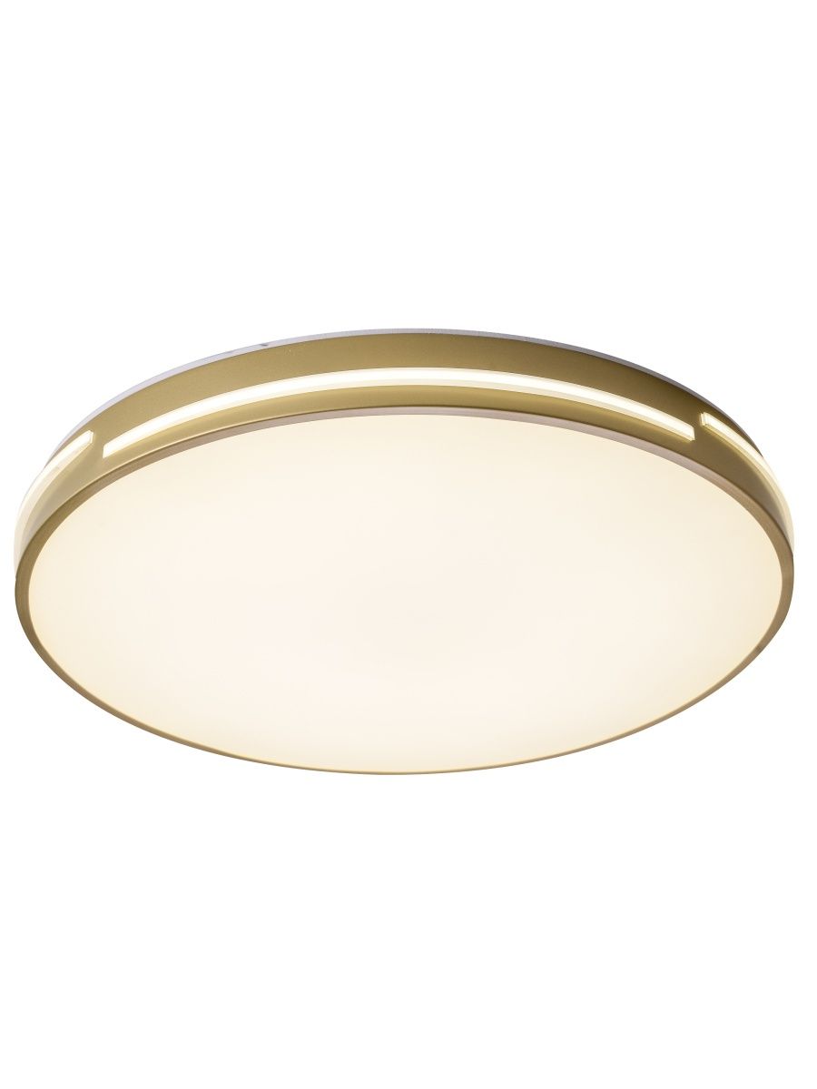 Потолочный светильник Zortes Gabby ZRS.90610.50