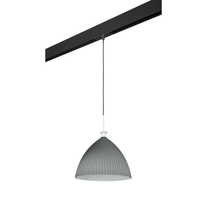 Трековый светильник Lightstar Agola PRO810031 (810031+595007)