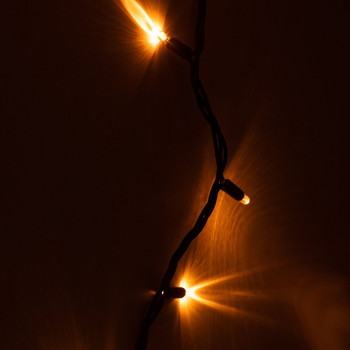 Светодиодная гирлянда Эра ERAPS-Z Б0060547