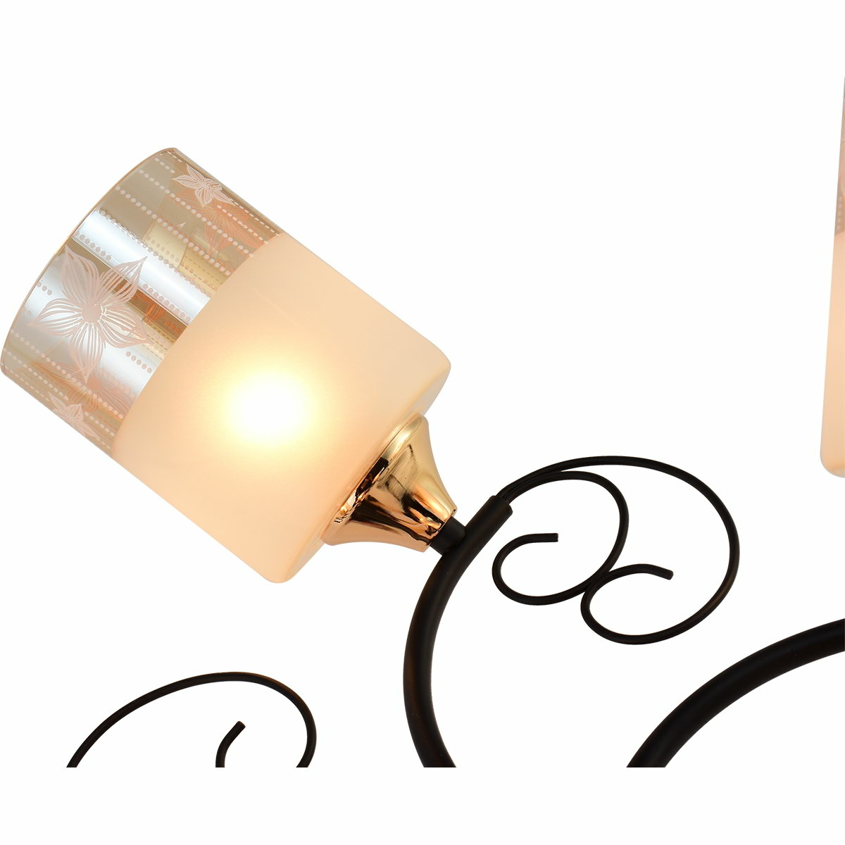 Люстра на штанге Reluce 01315-0.3-02 BK+FGD