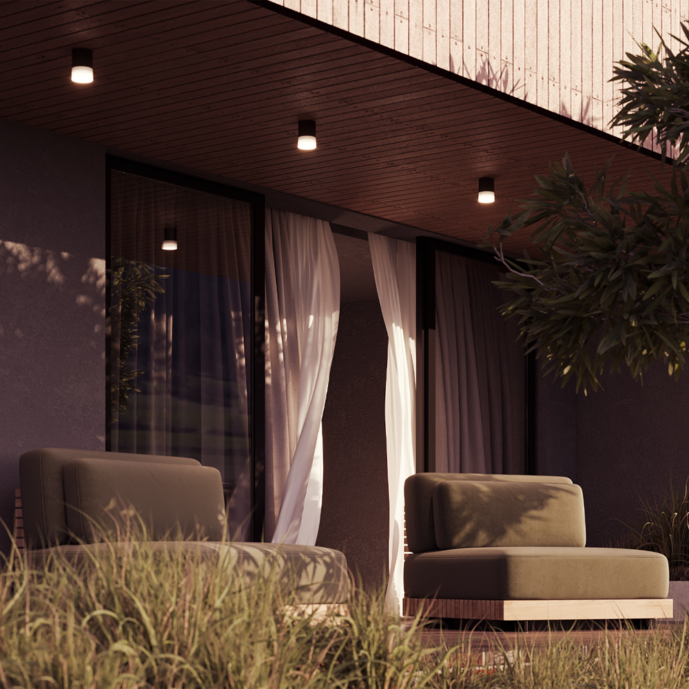 Уличный потолочный светильник Maytoni Ember O499CL-L5B3K