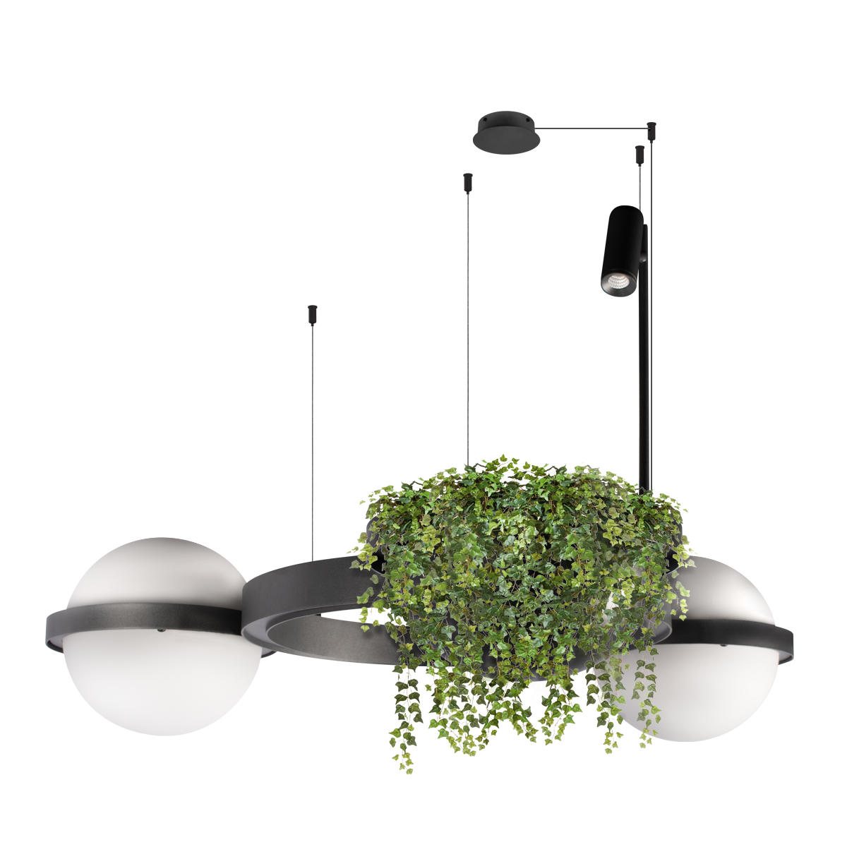 Подвесная люстра Loft IT Jardin 10121/2 Dark grey