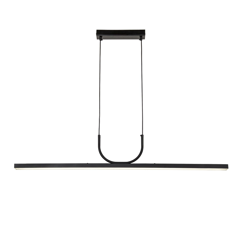 Подвесной светильник современный Favourite Raya 4096-2P