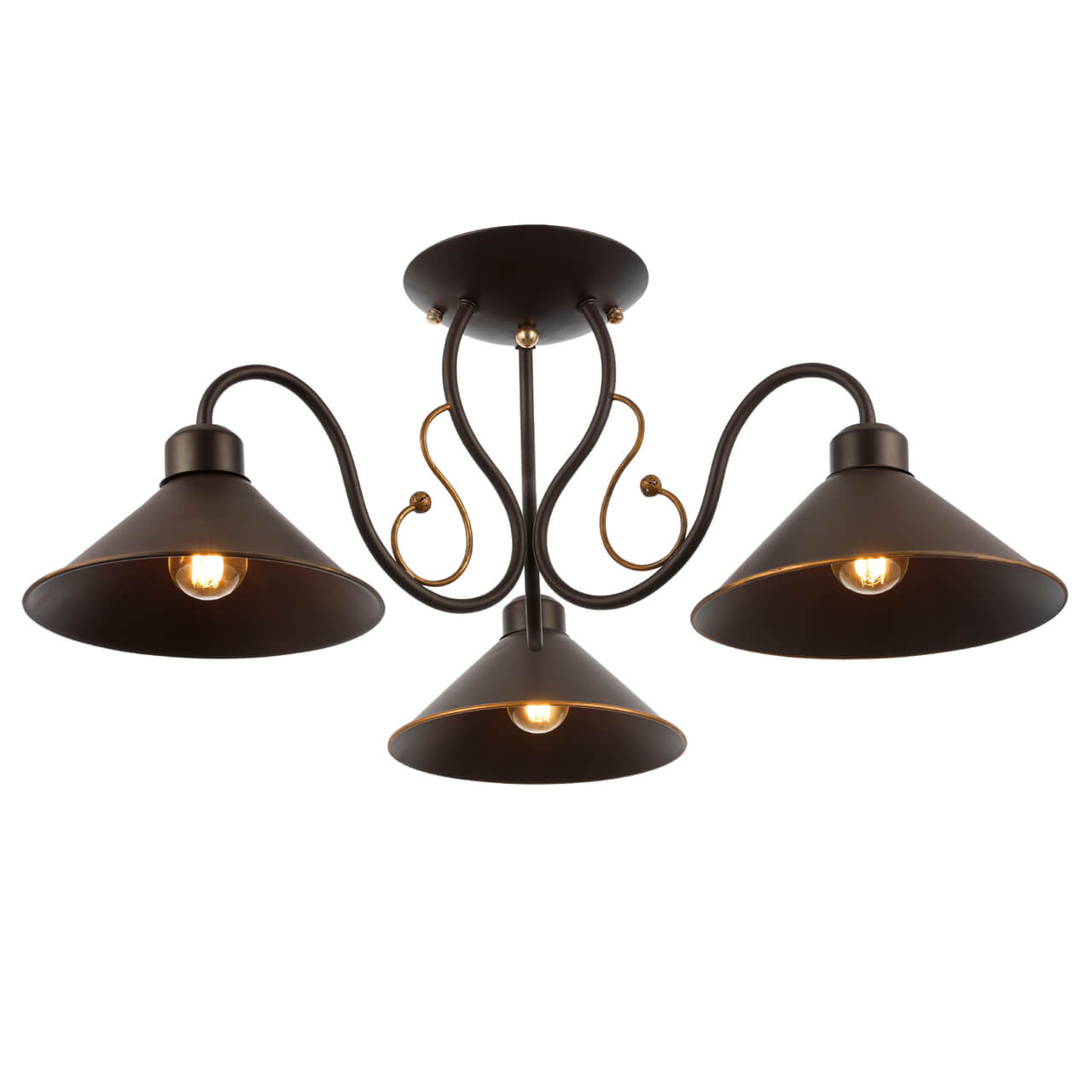 Потолочный светильник EVOLUCE CIOLLA SLE120402-03