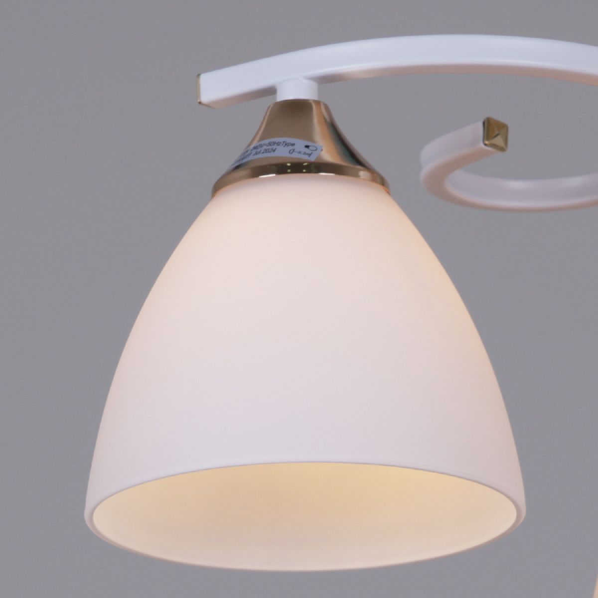 Потолочная люстра Reluce 05009-0.3-03 WH+FG