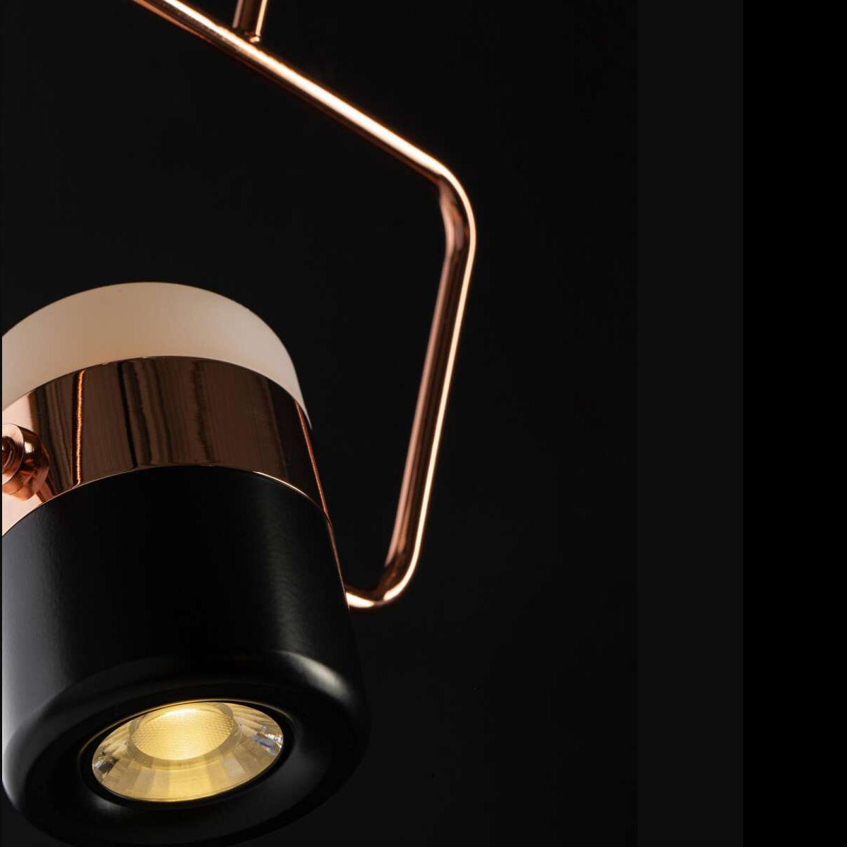 Подвесной светильник Loft IT 8118-B