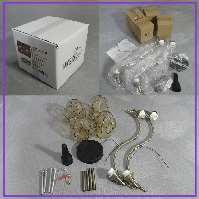 Потолочная люстра Wedo Light Elivera 66740.01.37.04