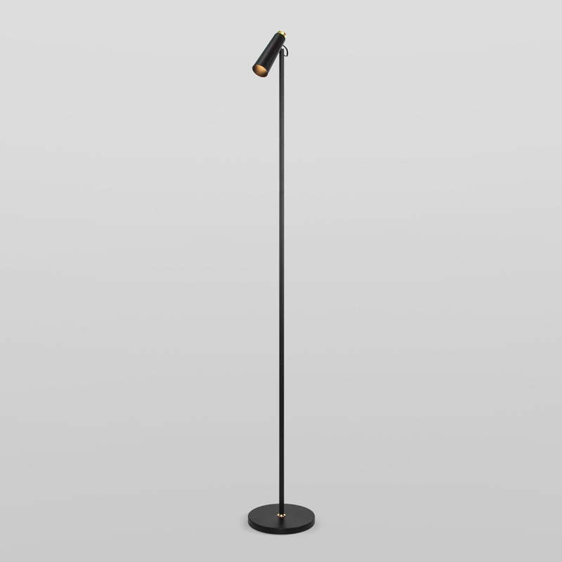 Торшер Eurosvet Joel 80430/1 черный/золото