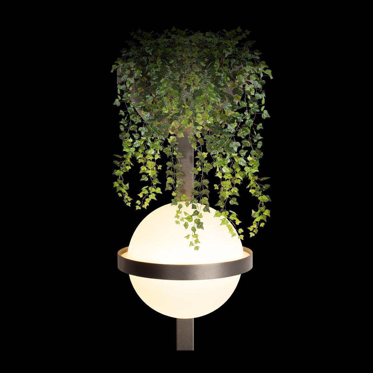 Настенный светильник Loft IT Jardin 10121W/B Dark grey