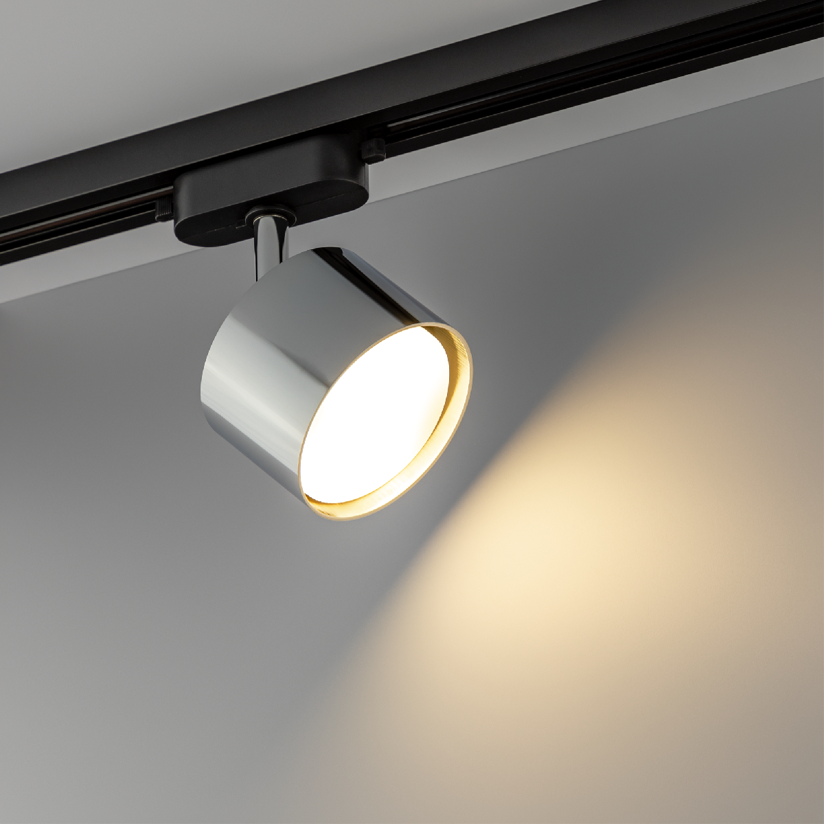 Трековый однофазный светильник Ritter Artline 59859 0