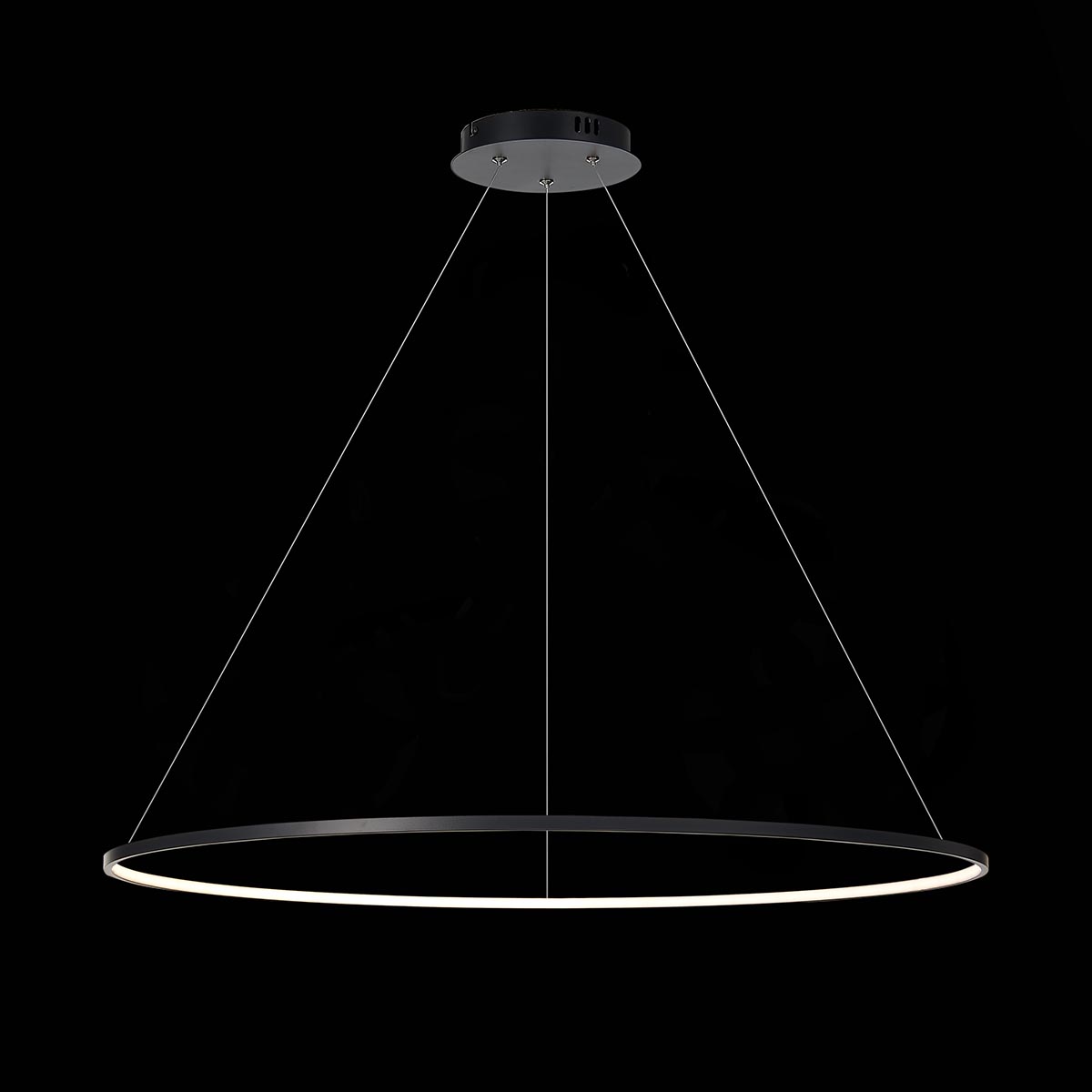 Подвесной светодиодный светильник ST Luce Erto SL904.423.01